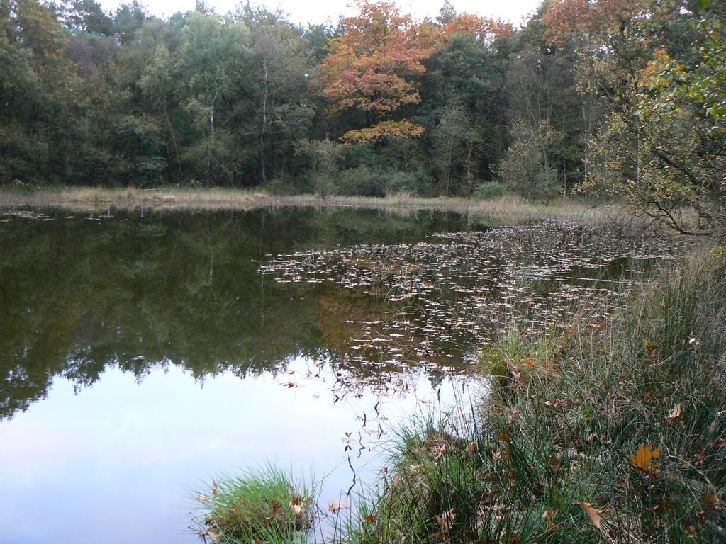 Vila Hoeve Den Anholt Ruinen Exteriér fotografie