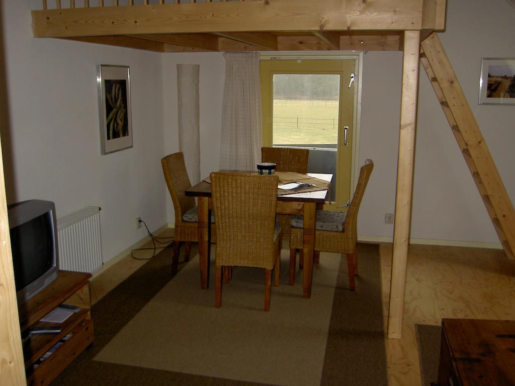 Vila Hoeve Den Anholt Ruinen Pokoj fotografie