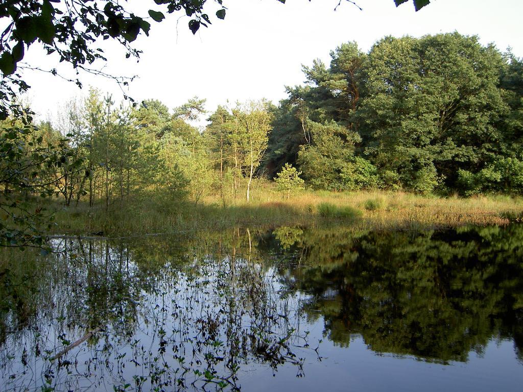 Vila Hoeve Den Anholt Ruinen Exteriér fotografie