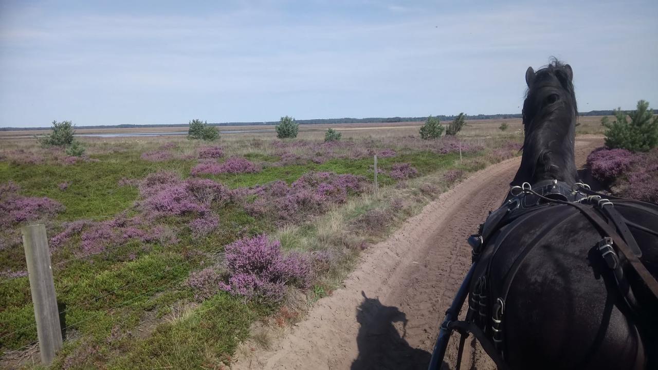 Vila Hoeve Den Anholt Ruinen Exteriér fotografie
