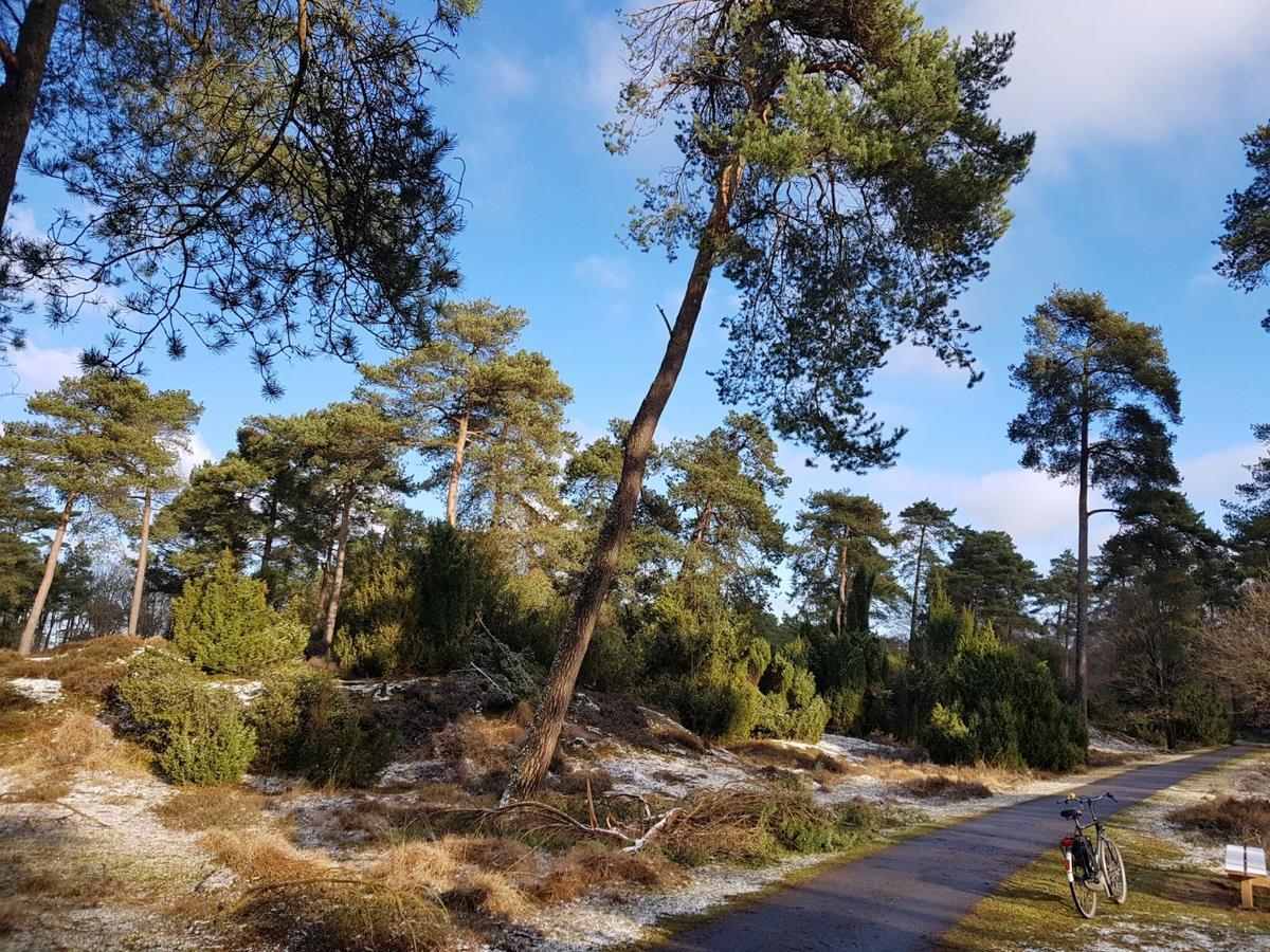Vila Hoeve Den Anholt Ruinen Exteriér fotografie