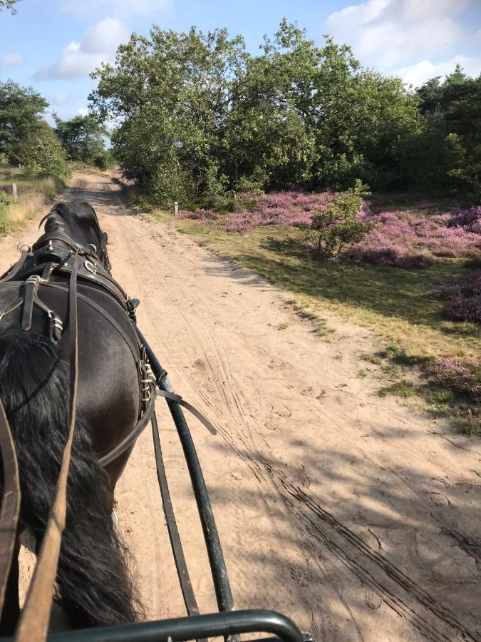 Vila Hoeve Den Anholt Ruinen Exteriér fotografie