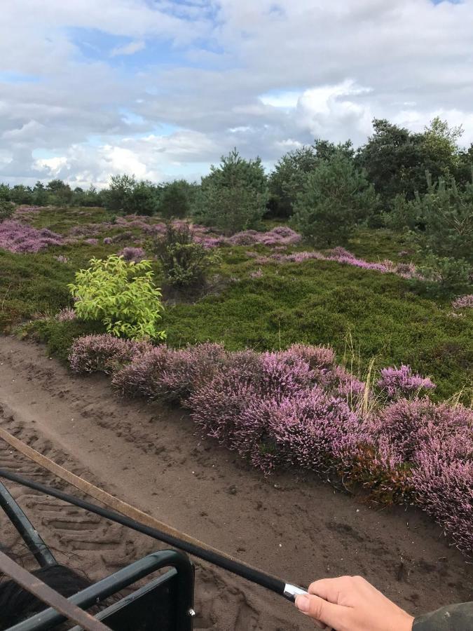 Vila Hoeve Den Anholt Ruinen Exteriér fotografie