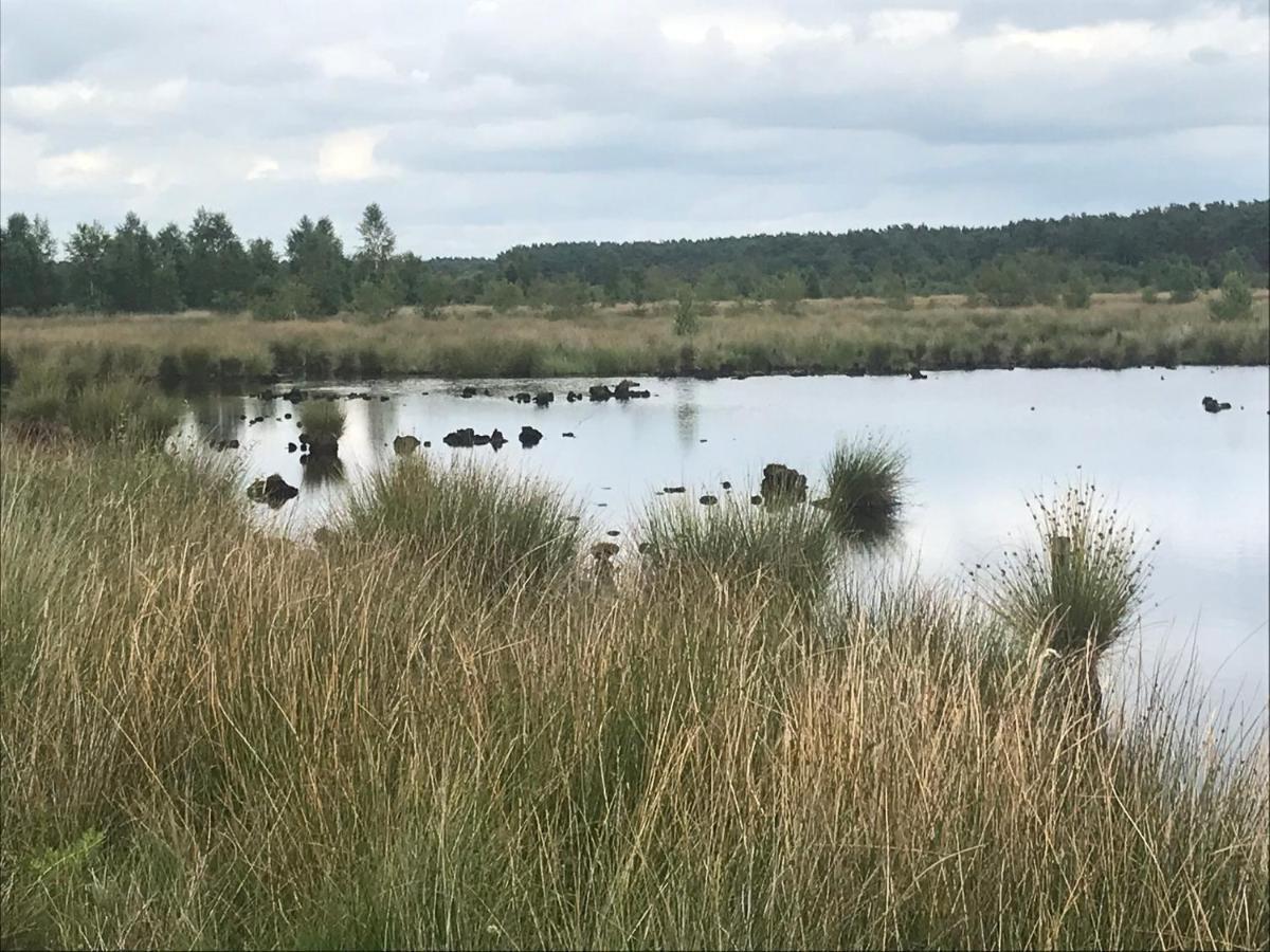 Vila Hoeve Den Anholt Ruinen Exteriér fotografie